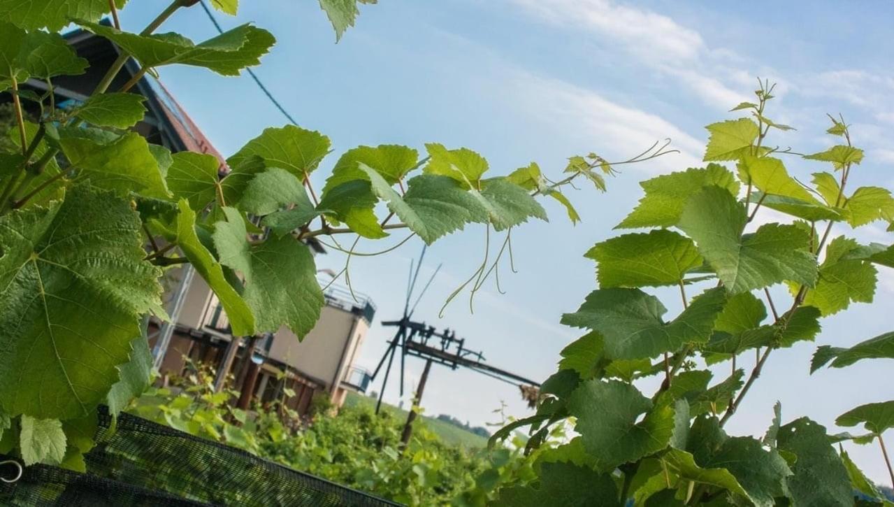 Zweytick Gaestezimmer Weingut Ratsch an der Weinstraße Exterior photo