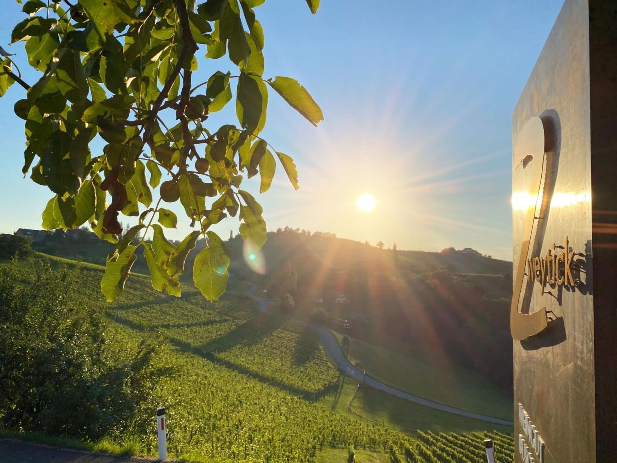 Zweytick Gaestezimmer Weingut Ratsch an der Weinstraße Exterior photo