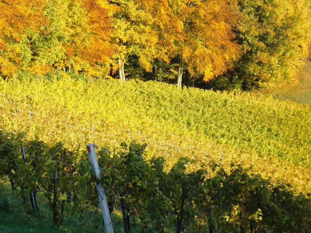 Zweytick Gaestezimmer Weingut Ratsch an der Weinstraße Exterior photo