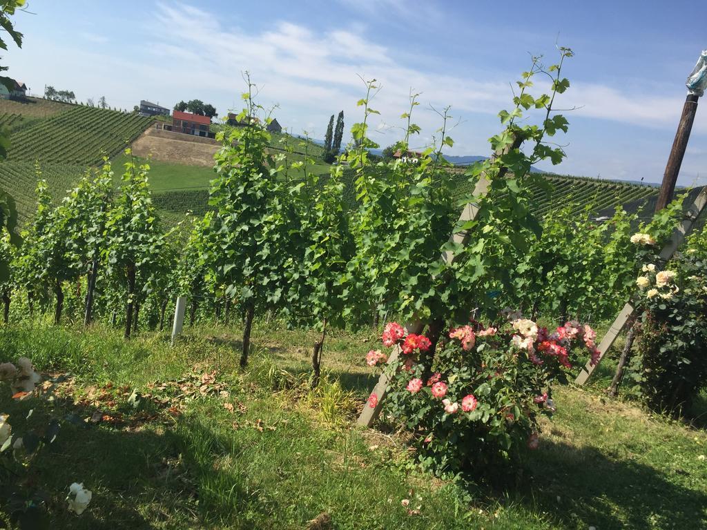 Zweytick Gaestezimmer Weingut Ratsch an der Weinstraße Exterior photo